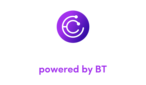 BT Code Crafters